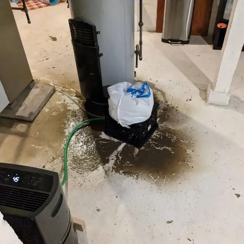 Sewage Backup Cleanup Service in Columbus, NE